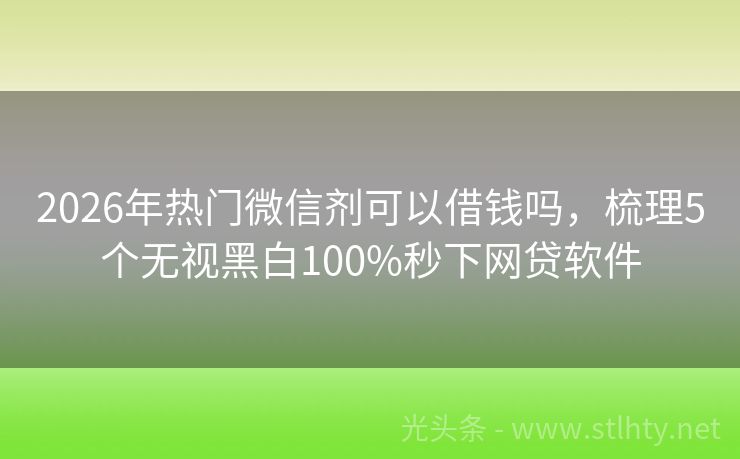 2026年热门微信剂可以借钱吗，梳理5个无视黑白100%秒下网贷软件
