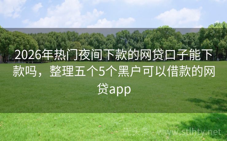 2026年热门夜间下款的网贷口子能下款吗，整理五个5个黑户可以借款的网贷app