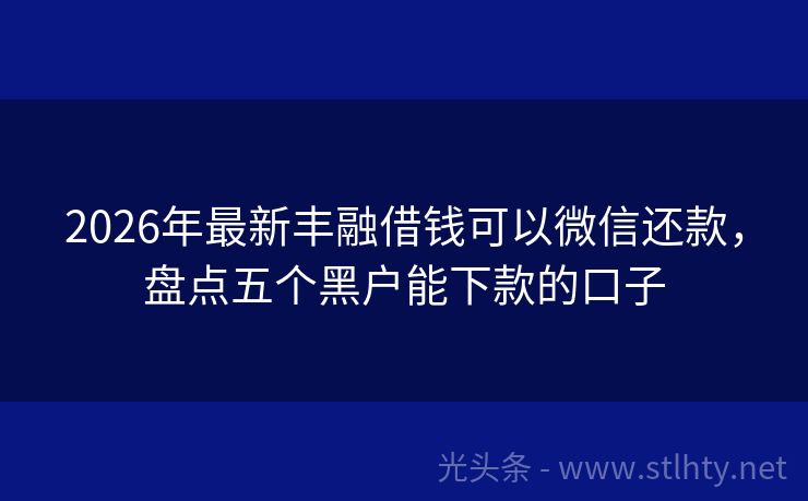 2026年最新丰融借钱可以微信还款，盘点五个黑户能下款的口子