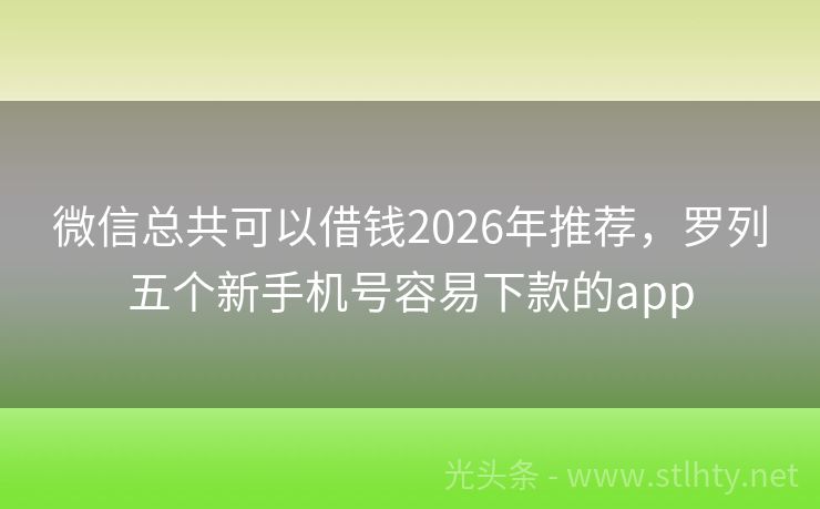 微信总共可以借钱2026年推荐，罗列五个新手机号容易下款的app