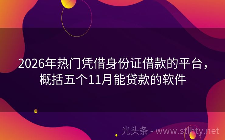 2026年热门凭借身份证借款的平台，概括五个11月能贷款的软件