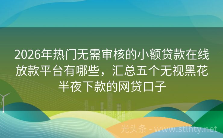 2026年热门无需审核的小额贷款在线放款平台有哪些，汇总五个无视黑花半夜下款的网贷口子