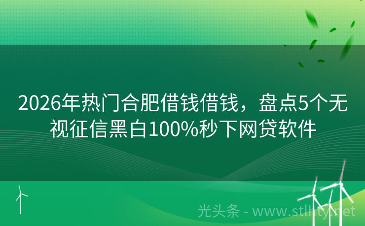 2026年热门合肥借钱借钱，盘点5个无视征信黑白100%秒下网贷软件