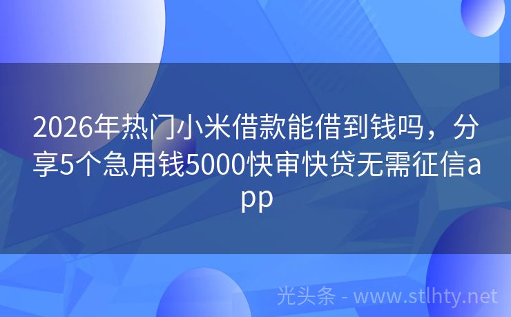 2026年热门小米借款能借到钱吗，分享5个急用钱5000快审快贷无需征信app