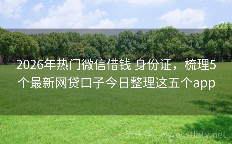 2026年热门微信借钱 身份证，梳理5个最新网贷口子今日整理这五个app