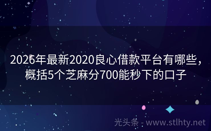 2026年最新2020良心借款平台有哪些，概括5个芝麻分700能秒下的口子
