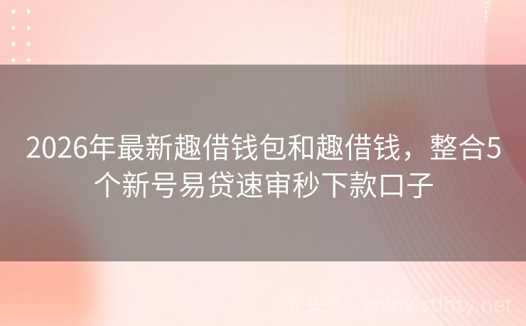 2026年最新趣借钱包和趣借钱，整合5个新号易贷速审秒下款口子