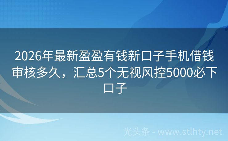 2026年最新盈盈有钱新口子手机借钱审核多久，汇总5个无视风控5000必下口子