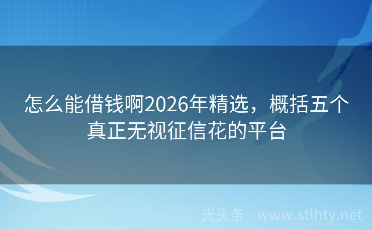 怎么能借钱啊2026年精选，概括五个真正无视征信花的平台