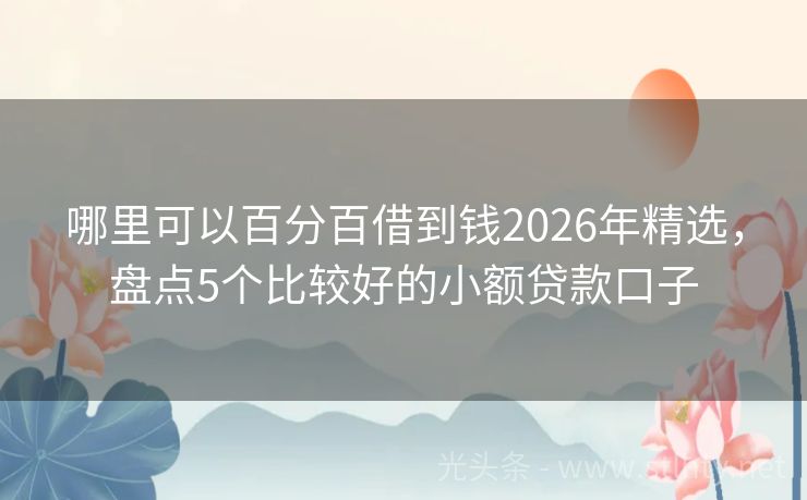 哪里可以百分百借到钱2026年精选，盘点5个比较好的小额贷款口子