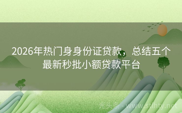 2026年热门身身份证贷款，总结五个最新秒批小额贷款平台