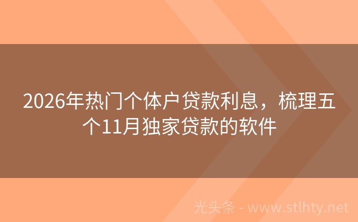 2026年热门个体户贷款利息，梳理五个11月独家贷款的软件