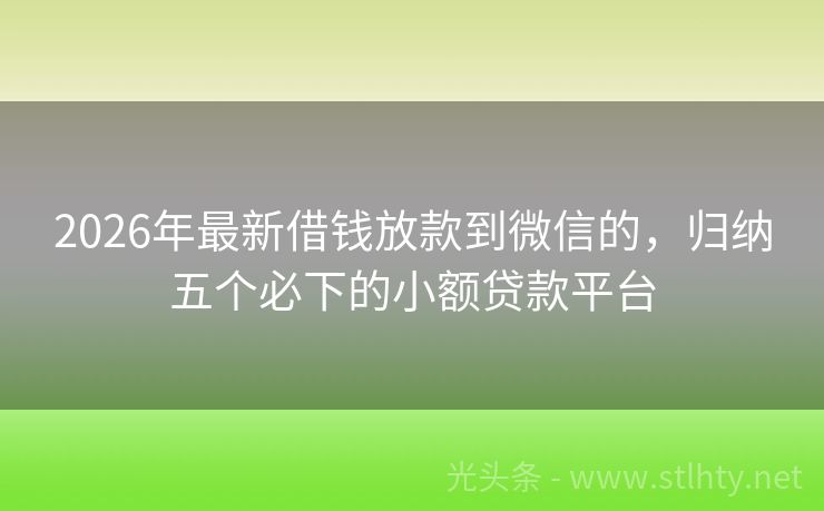 2026年最新借钱放款到微信的，归纳五个必下的小额贷款平台