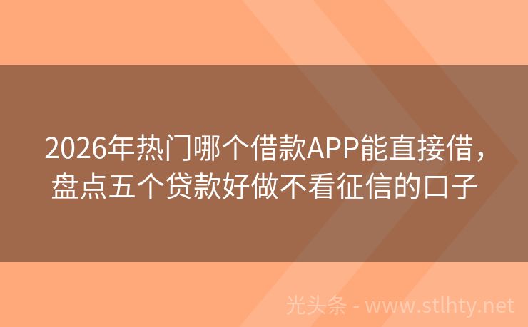 2026年热门哪个借款APP能直接借，盘点五个贷款好做不看征信的口子