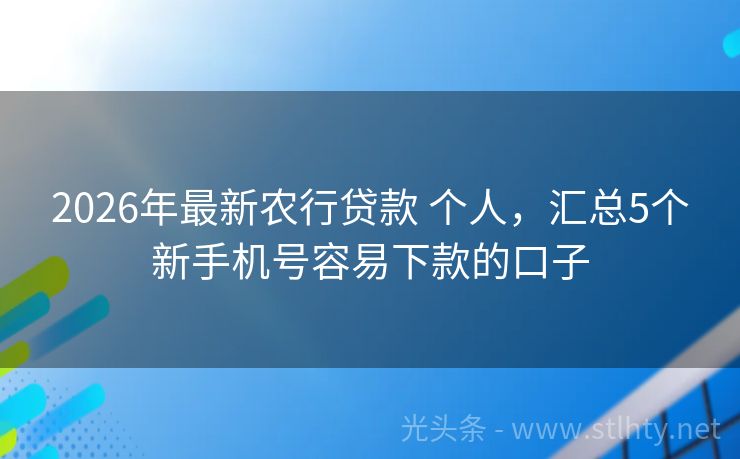 2026年最新农行贷款 个人，汇总5个新手机号容易下款的口子