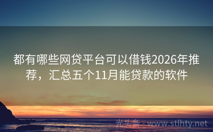 都有哪些网贷平台可以借钱2026年推荐，汇总五个11月能贷款的软件
