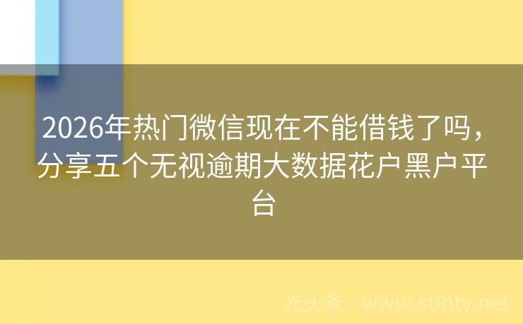 2026年热门微信现在不能借钱了吗，分享五个无视逾期大数据花户黑户平台