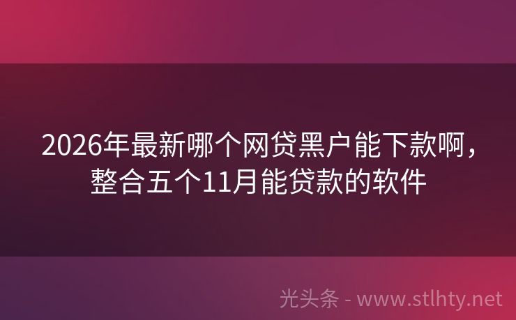 2026年最新哪个网贷黑户能下款啊，整合五个11月能贷款的软件