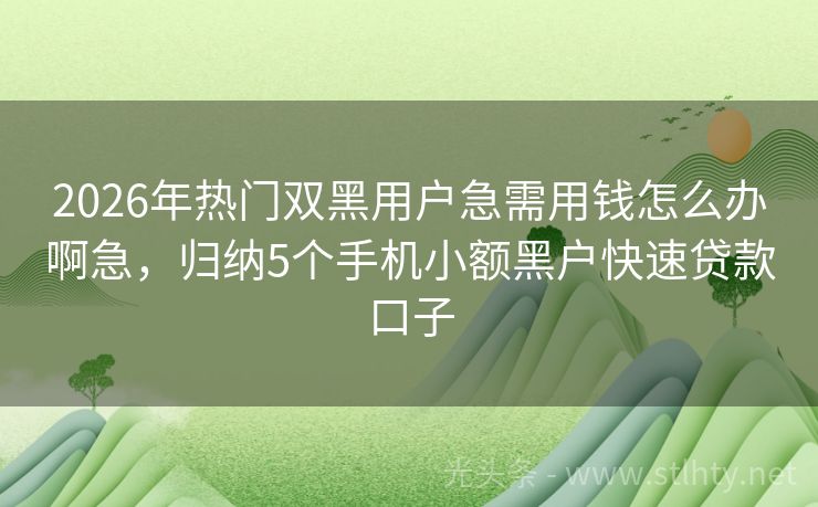 2026年热门双黑用户急需用钱怎么办啊急，归纳5个手机小额黑户快速贷款口子