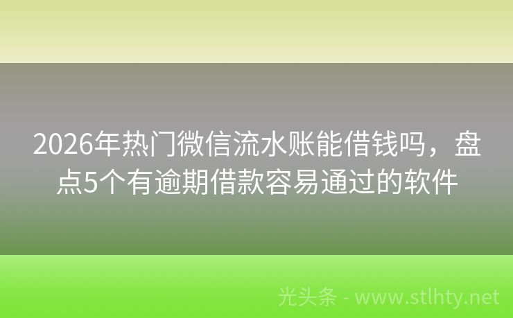 2026年热门微信流水账能借钱吗，盘点5个有逾期借款容易通过的软件
