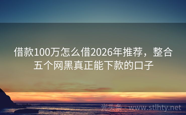借款100万怎么借2026年推荐，整合五个网黑真正能下款的口子