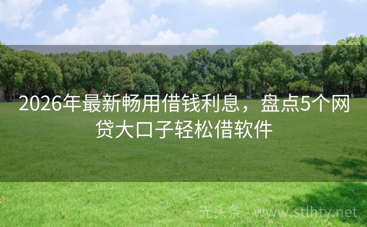 2026年最新畅用借钱利息，盘点5个网贷大口子轻松借软件