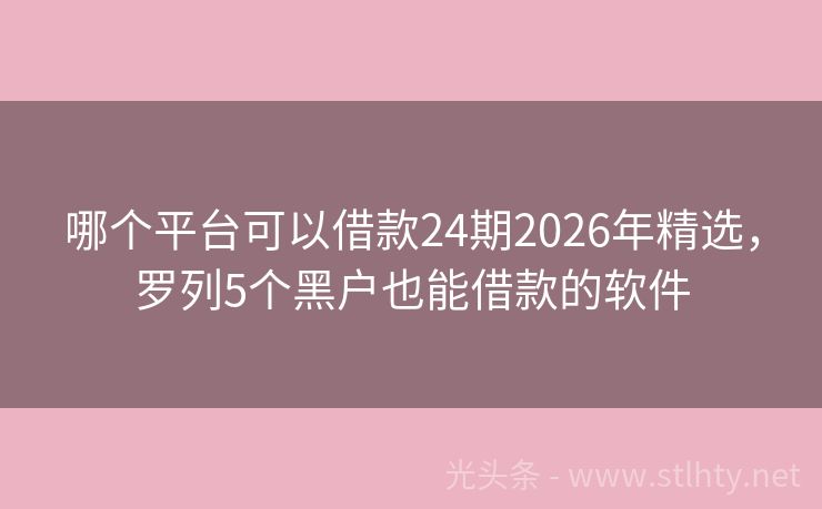 哪个平台可以借款24期2026年精选，罗列5个黑户也能借款的软件