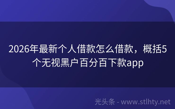 2026年最新个人借款怎么借款，概括5个无视黑户百分百下款app