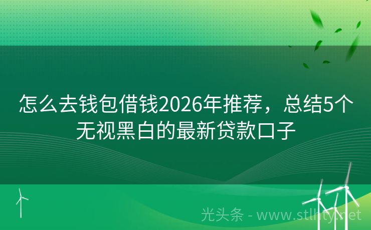 怎么去钱包借钱2026年推荐，总结5个无视黑白的最新贷款口子