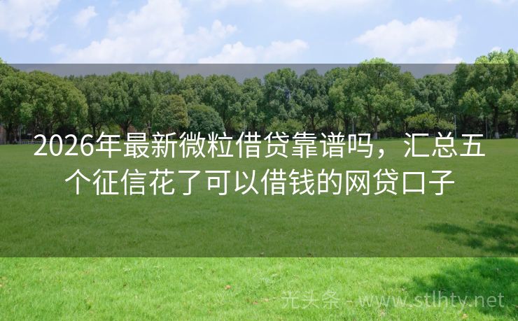 2026年最新微粒借贷靠谱吗，汇总五个征信花了可以借钱的网贷口子