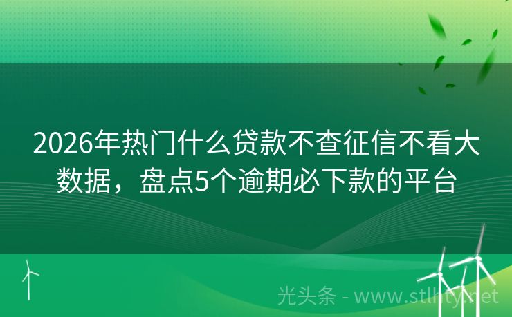 2026年热门什么贷款不查征信不看大数据，盘点5个逾期必下款的平台