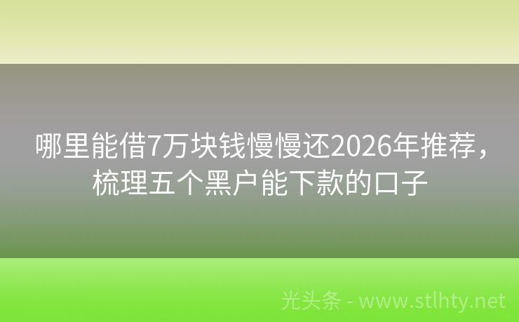 哪里能借7万块钱慢慢还2026年推荐，梳理五个黑户能下款的口子