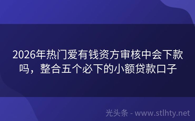2026年热门爱有钱资方审核中会下款吗，整合五个必下的小额贷款口子