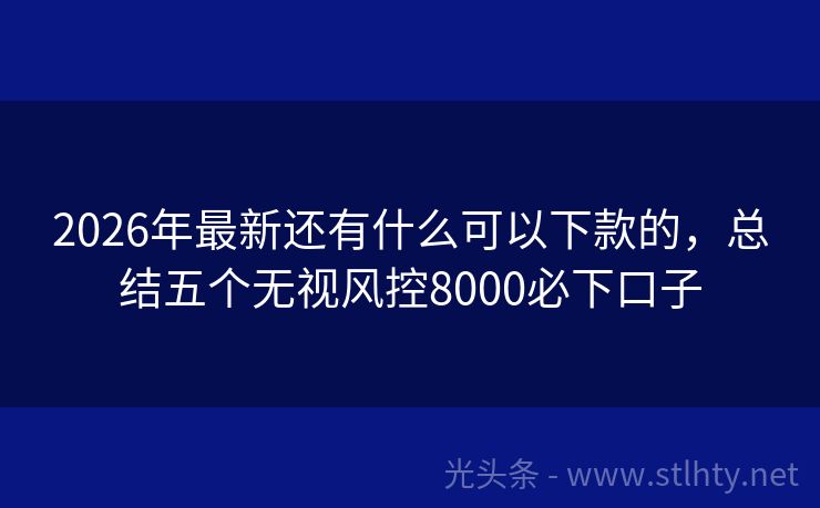 2026年最新还有什么可以下款的，总结五个无视风控8000必下口子