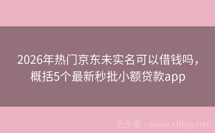 2026年热门京东未实名可以借钱吗，概括5个最新秒批小额贷款app
