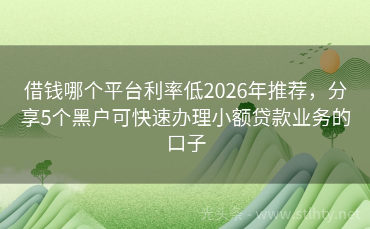 借钱哪个平台利率低2026年推荐，分享5个黑户可快速办理小额贷款业务的口子