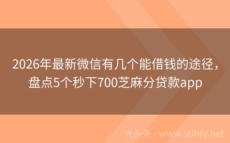2026年最新微信有几个能借钱的途径，盘点5个秒下700芝麻分贷款app