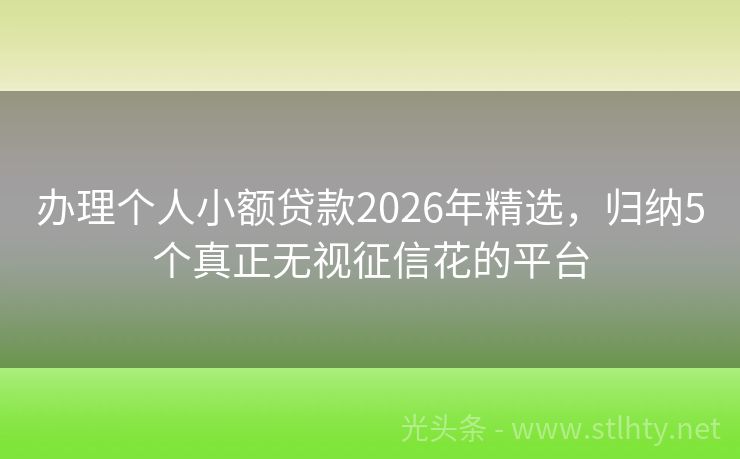 办理个人小额贷款2026年精选，归纳5个真正无视征信花的平台