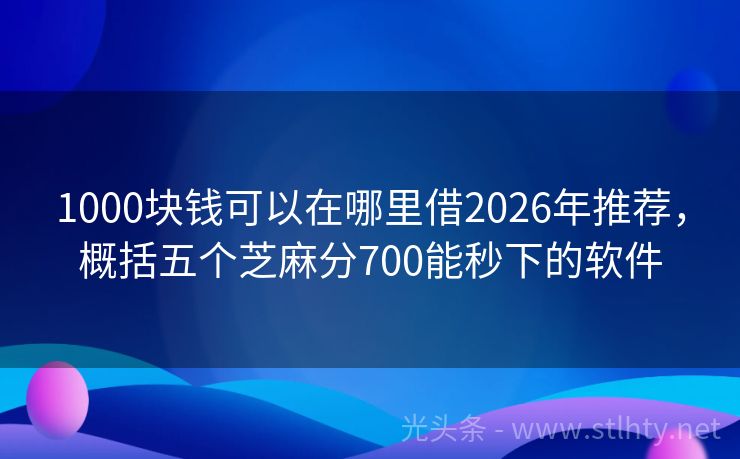 1000块钱可以在哪里借2026年推荐，概括五个芝麻分700能秒下的软件