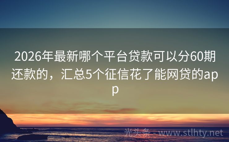 2026年最新哪个平台贷款可以分60期还款的，汇总5个征信花了能网贷的app