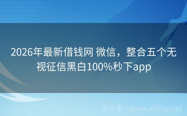 2026年最新借钱网 微信，整合五个无视征信黑白100%秒下app