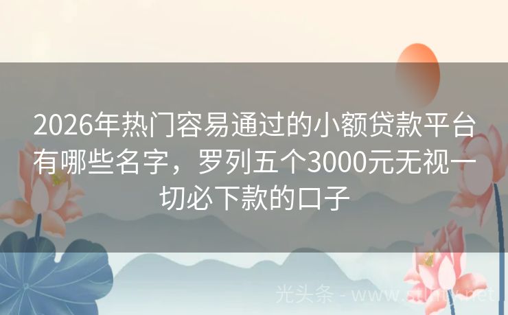 2026年热门容易通过的小额贷款平台有哪些名字，罗列五个3000元无视一切必下款的口子