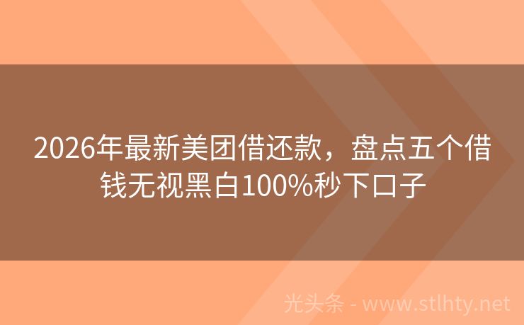2026年最新美团借还款，盘点五个借钱无视黑白100%秒下口子