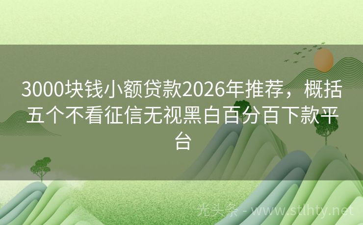 3000块钱小额贷款2026年推荐，概括五个不看征信无视黑白百分百下款平台