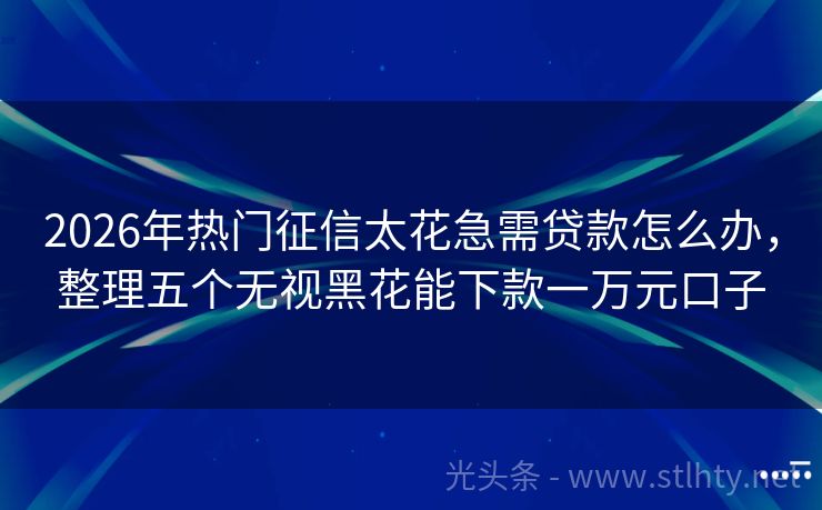 2026年热门征信太花急需贷款怎么办，整理五个无视黑花能下款一万元口子
