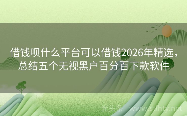 借钱呗什么平台可以借钱2026年精选，总结五个无视黑户百分百下款软件