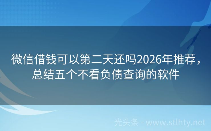 微信借钱可以第二天还吗2026年推荐，总结五个不看负债查询的软件