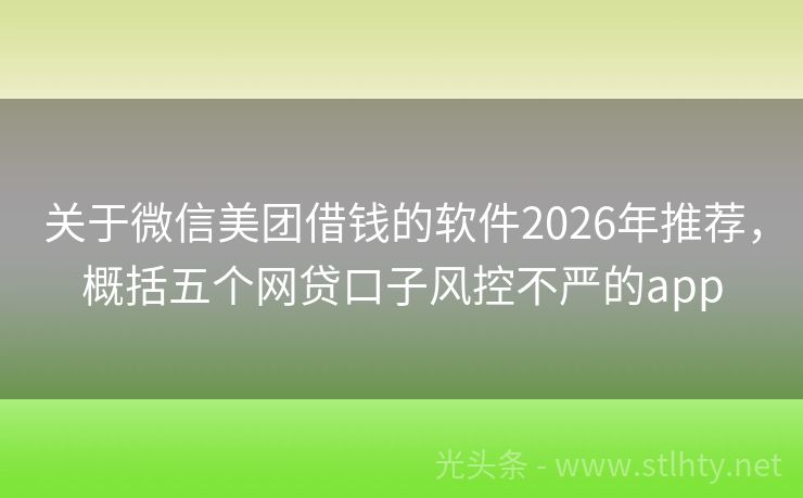 关于微信美团借钱的软件2026年推荐，概括五个网贷口子风控不严的app