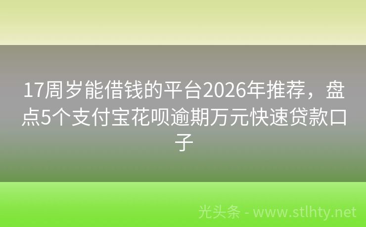 17周岁能借钱的平台2026年推荐，盘点5个支付宝花呗逾期万元快速贷款口子