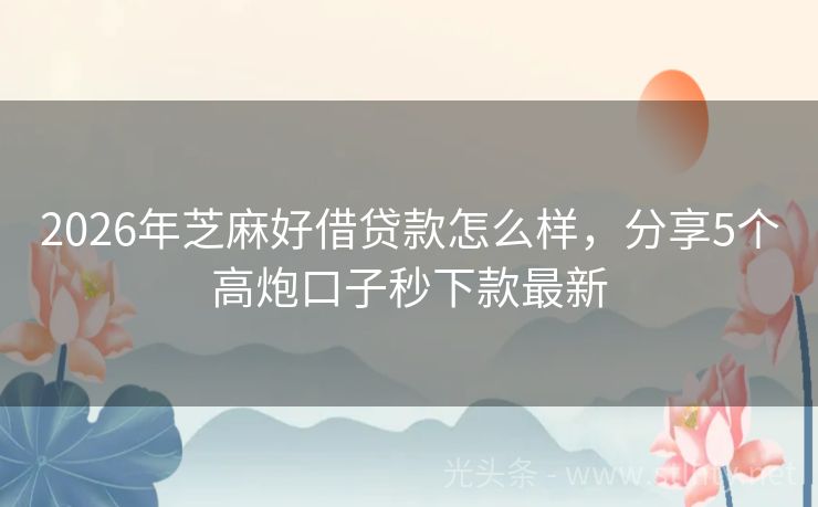 2026年芝麻好借贷款怎么样，分享5个高炮口子秒下款最新